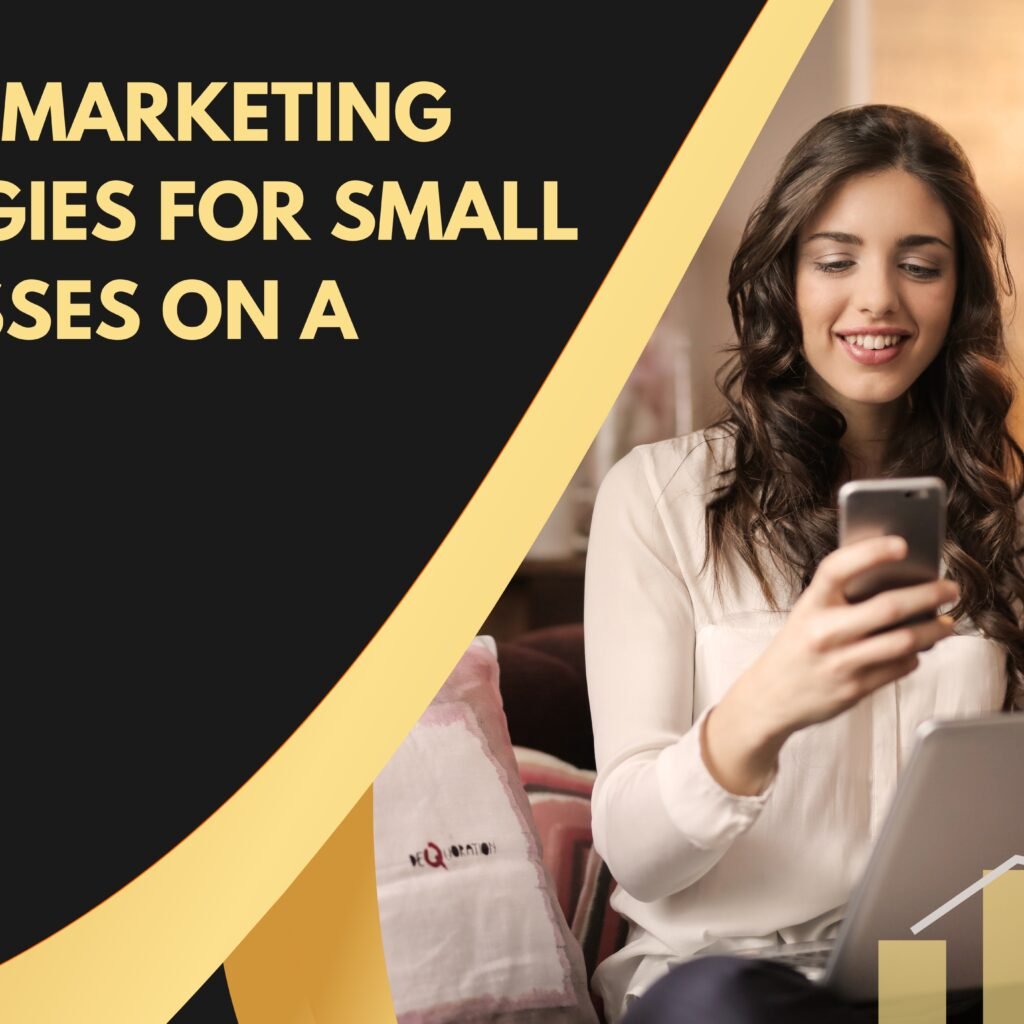 Digital Marketing Strategies for Small Businesses on a Budget ...