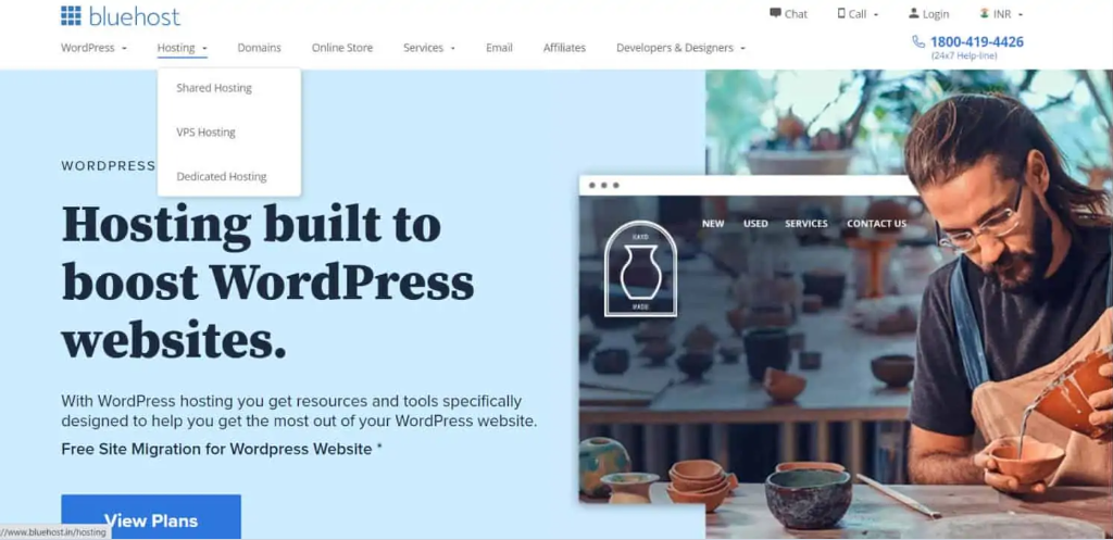 ABOUT BLUEHOST REVIEW