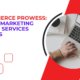 Expert Marketing Agency Services