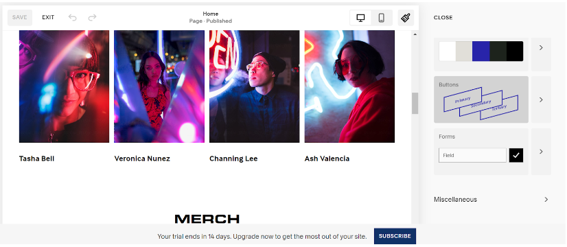 Preview website