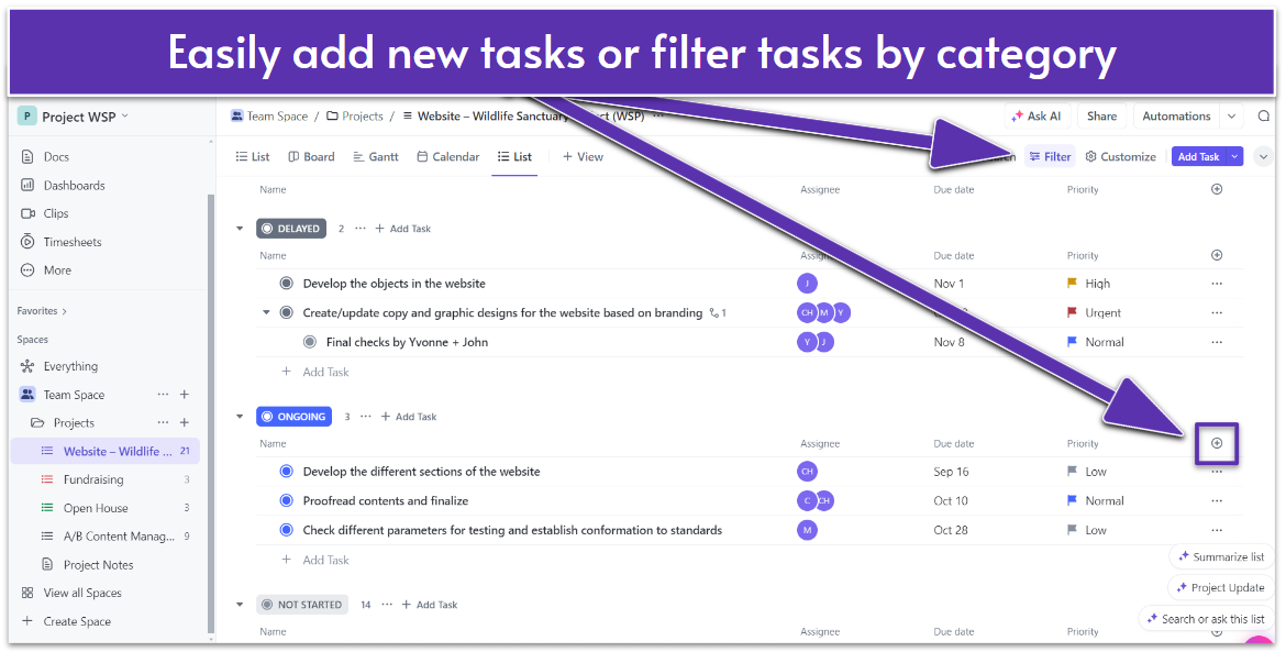 Flexible List and Task Management Features