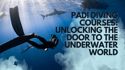 PADI Diving Courses Unlocking the Door to the Underwater World