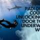 PADI Diving Courses Unlocking the Door to the Underwater World