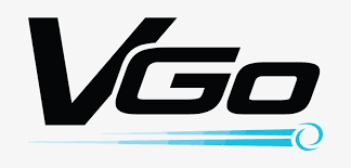 VGO LLC