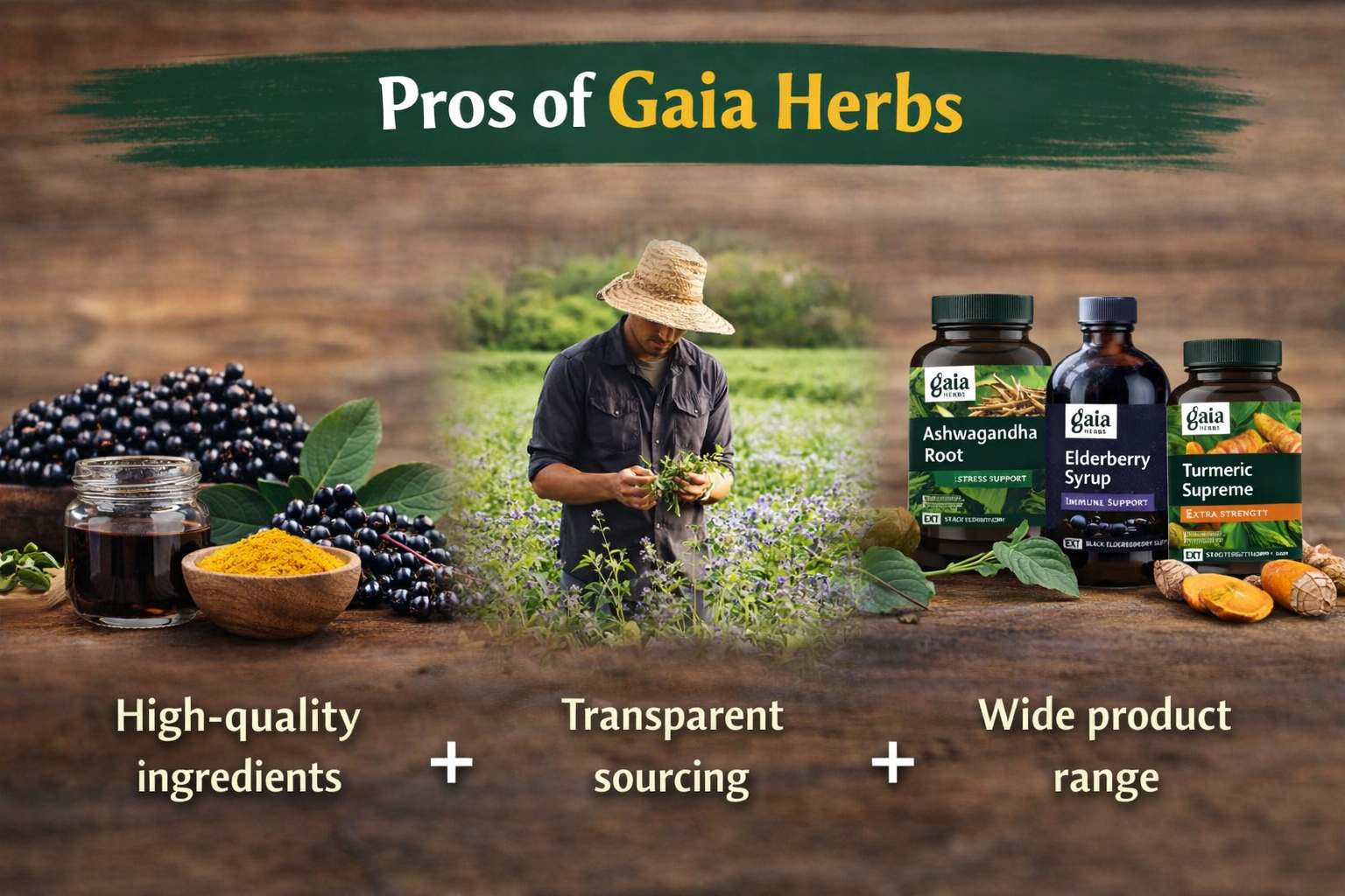 Gaia Herbs