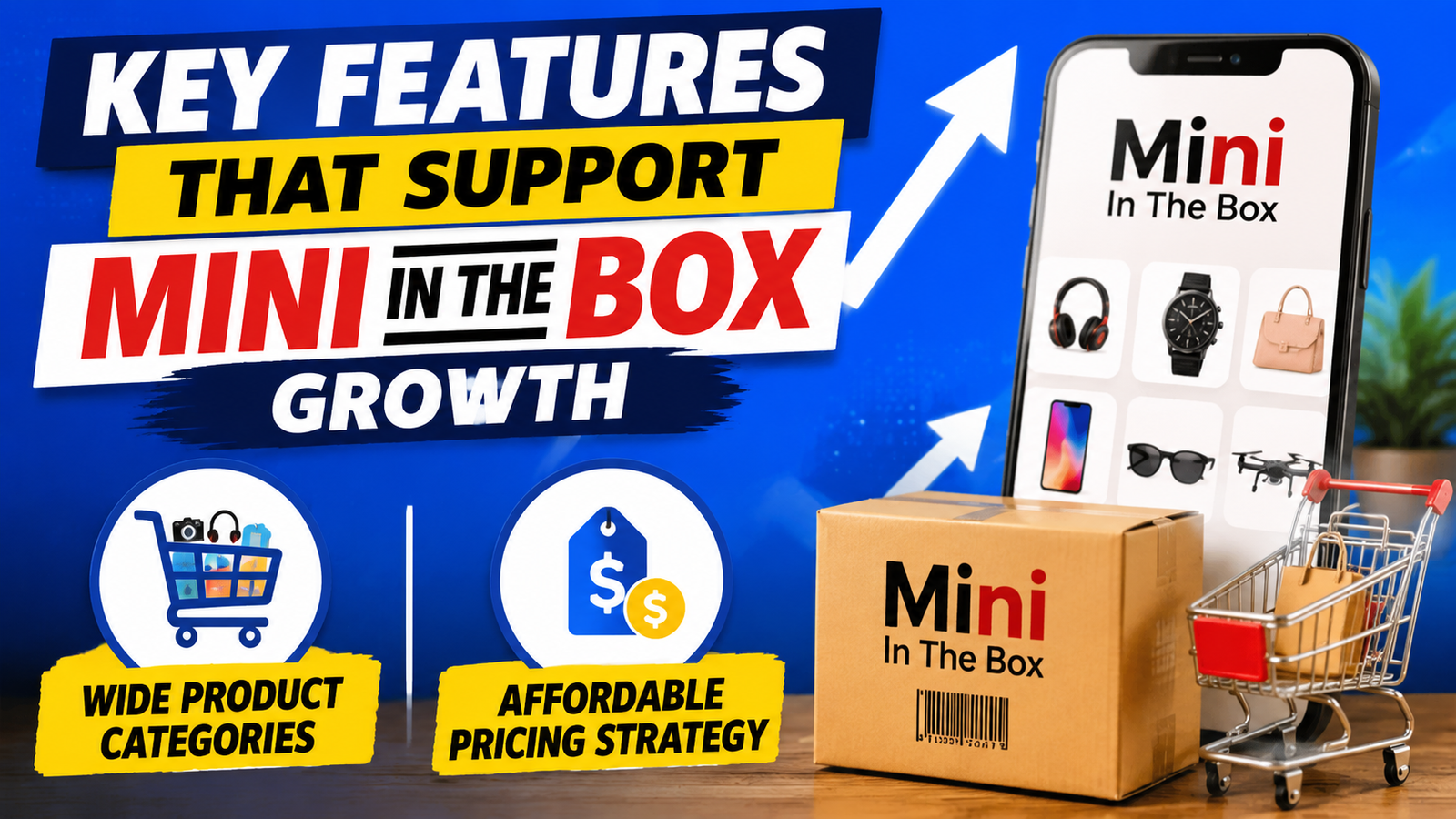 Mini in the box
